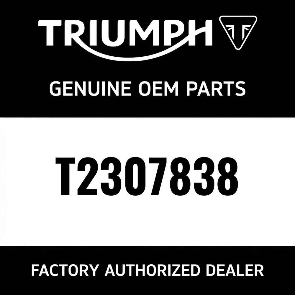 Triumph T2307838 - Right Hand Fork Protector Moulding