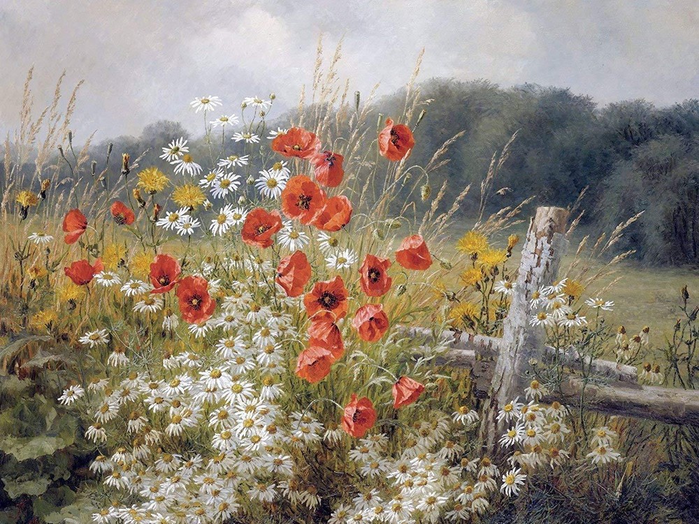 POPPIES DAISIES A. Christensen flower Tile Mural Kitchen Backsplash Ceramic 10x8