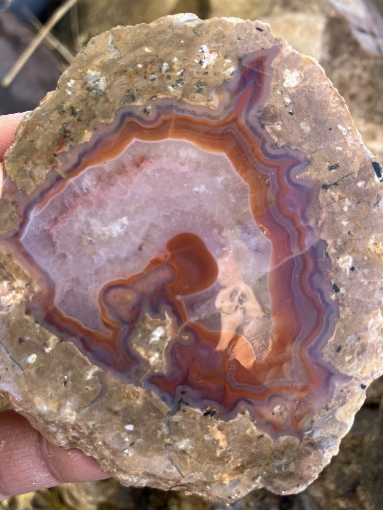 Laguna Agate Slab