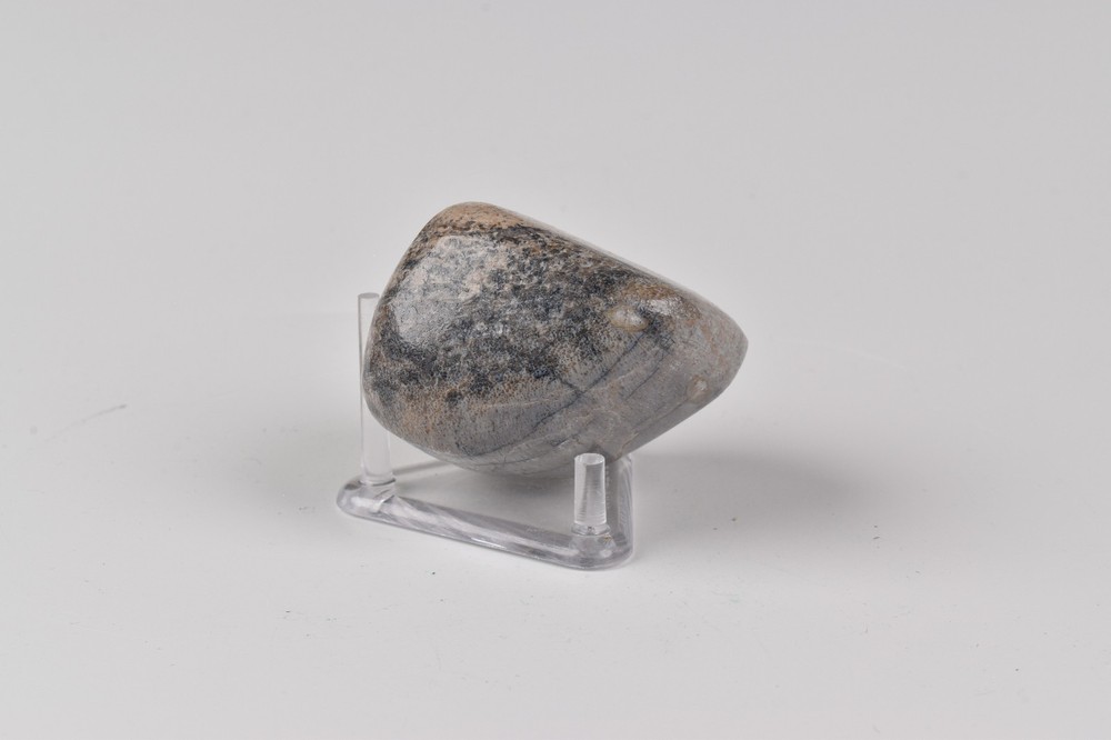 Polished Dinosaur Bone from Morocco 3.9 cm # 21589