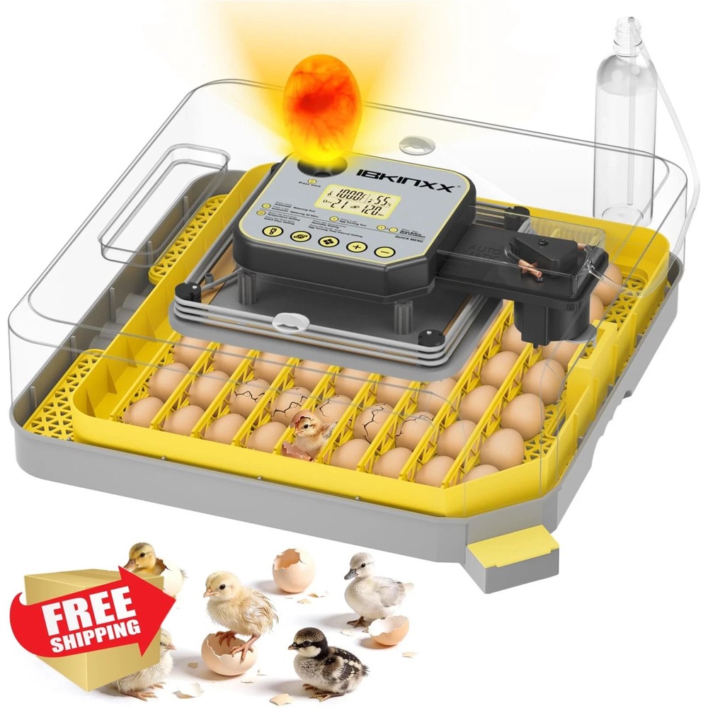 IBKINXX Incubator for Hatching Eggs-48 Egg Capacity