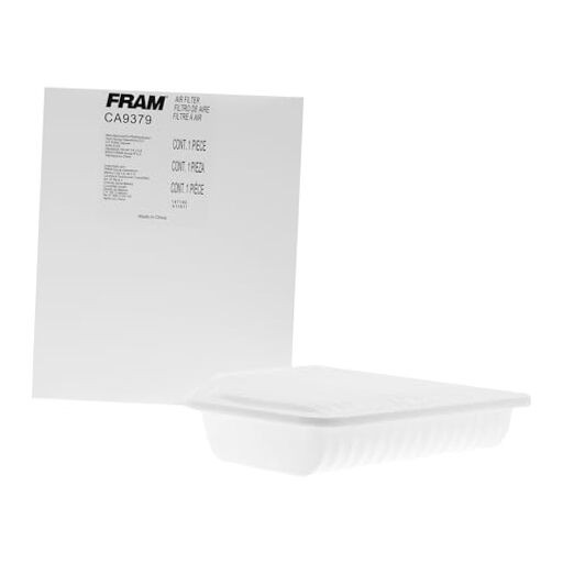 Extra Guard CA9379 Replacement Engine Air Filter for Select Lexus One Size