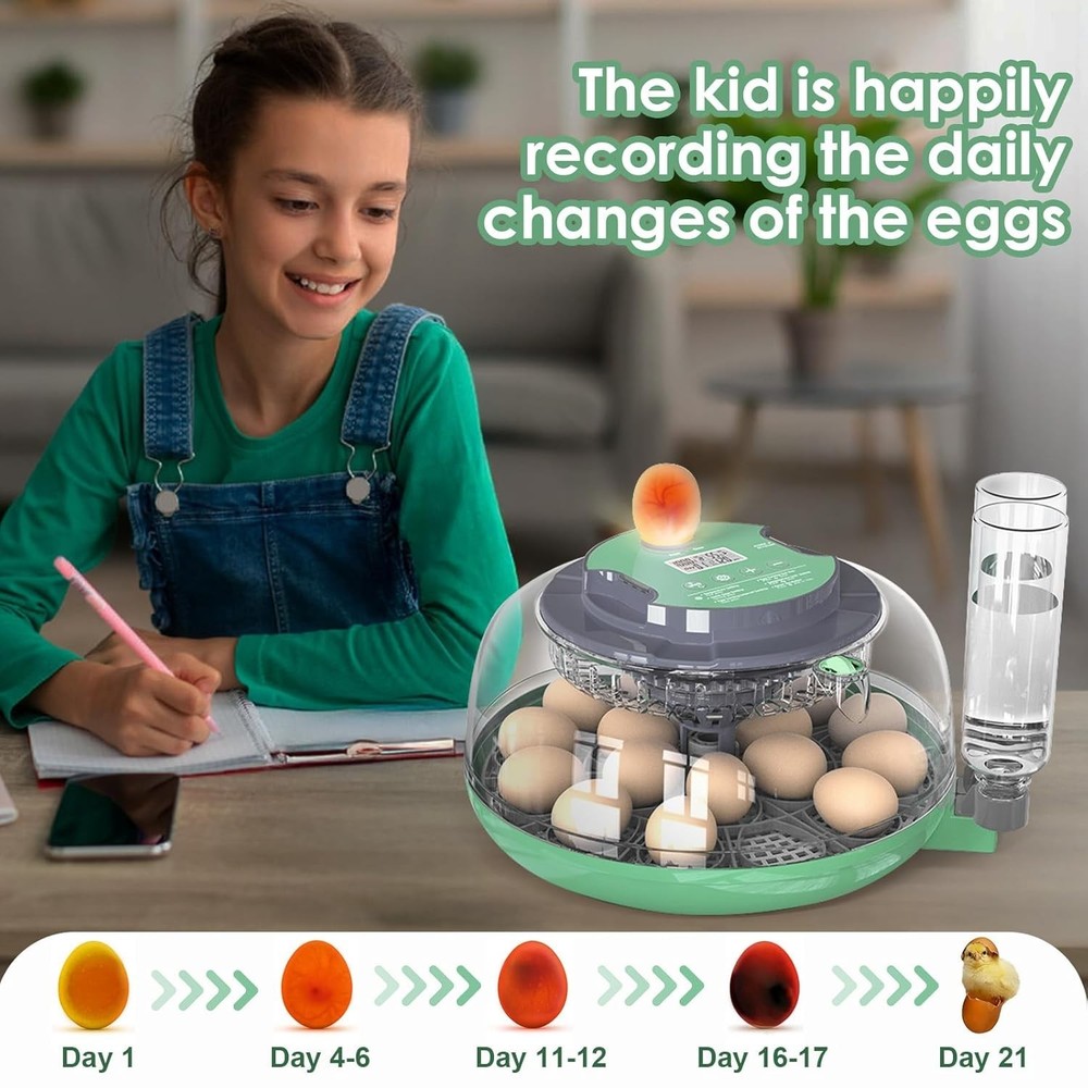 Incubators for Hatching Eggs,18 Egg Incubator with Automatic Egg Turning