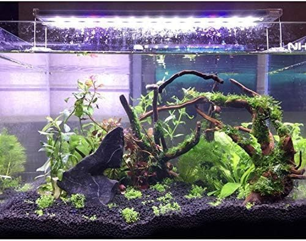 Large Driftwood for Aquarium Fish Tank Decorations Natural Assorted Branches Bea