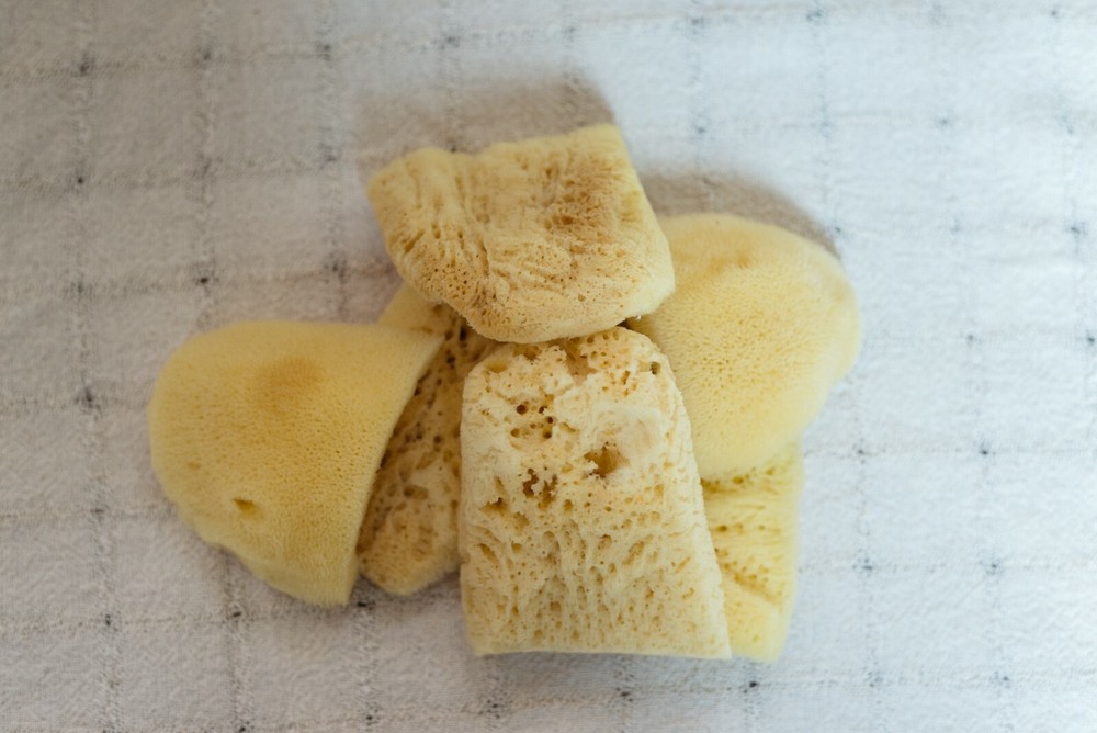 Bleached Elephant Ear Sponges 4"-4 1/2"