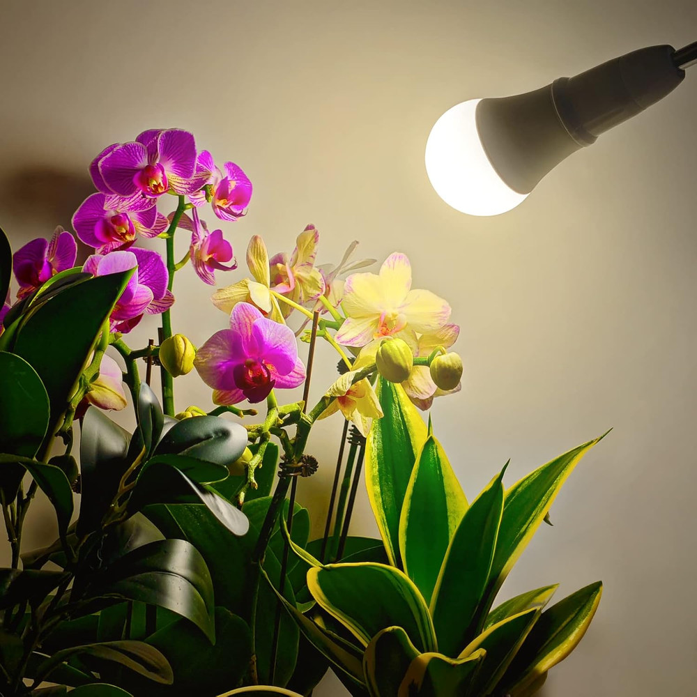 LED Grow Light Bulb A19 - Full Spectrum E26 Base, 11W (100W Equivalent) for Indo