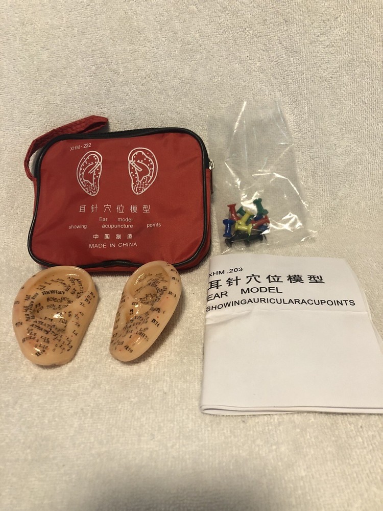 Vtg Human Ear Acupuncture Model w/Acupuncture Points