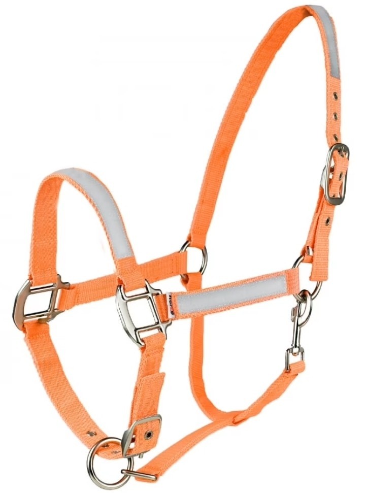 Cob Reflective Halter
