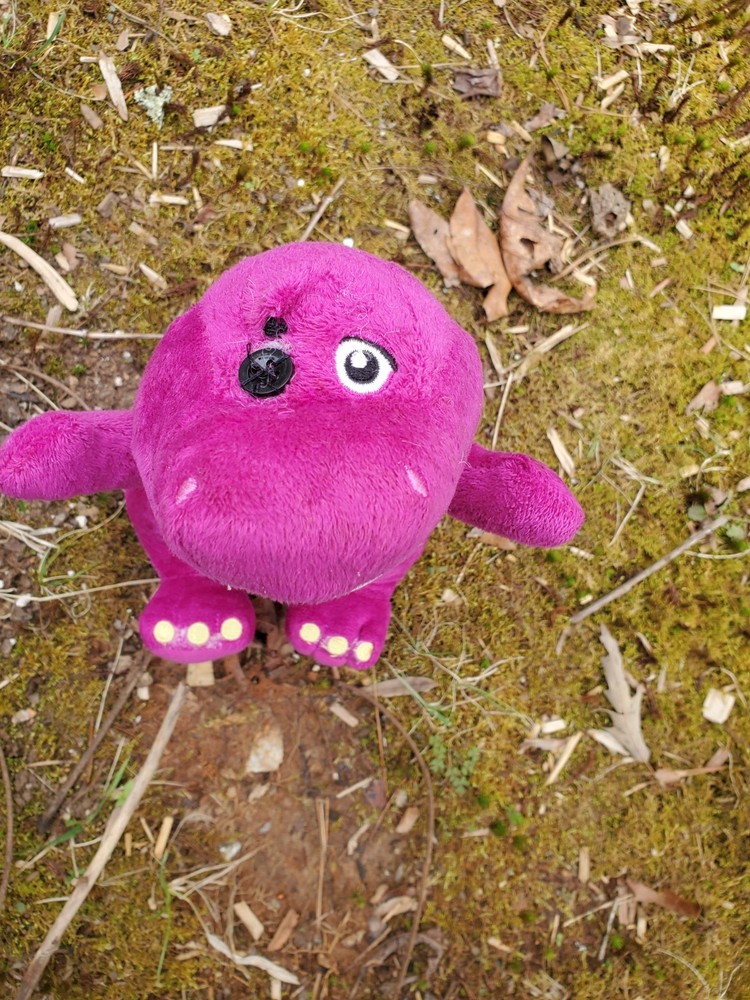 Haunted Stuffed Animal