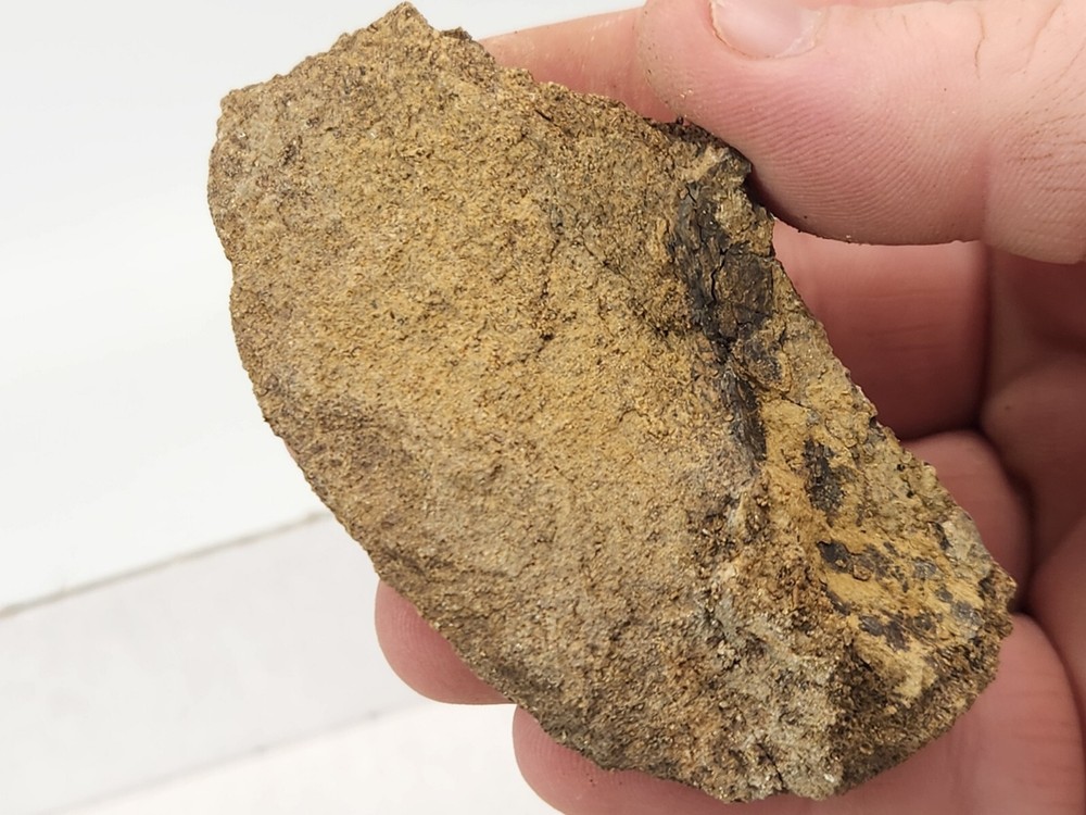 Dinosaur Bone Fossil Prep Projects - Morrison Fm. - Self Dug - Big Horn Co., WY