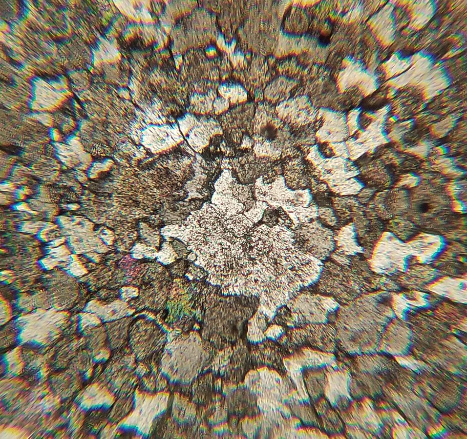 Thin-section Mount from IDHP UPH 2 Petrographic Microscope Slide 3-51.6