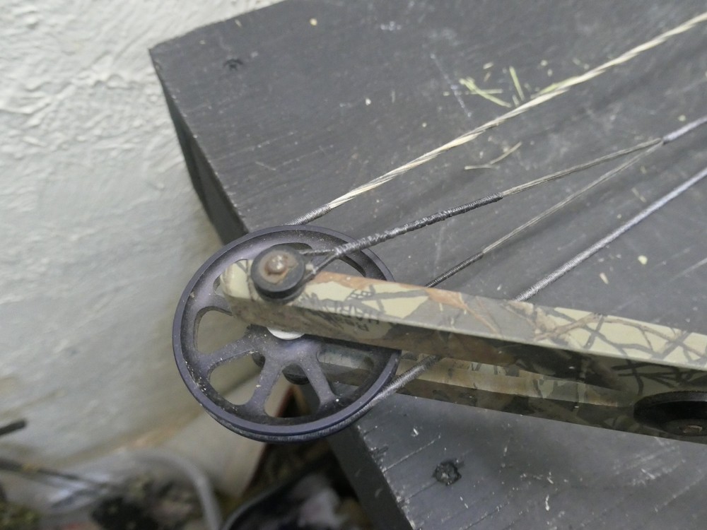 VINTAGE BUCK SABER COMPOUND BOW