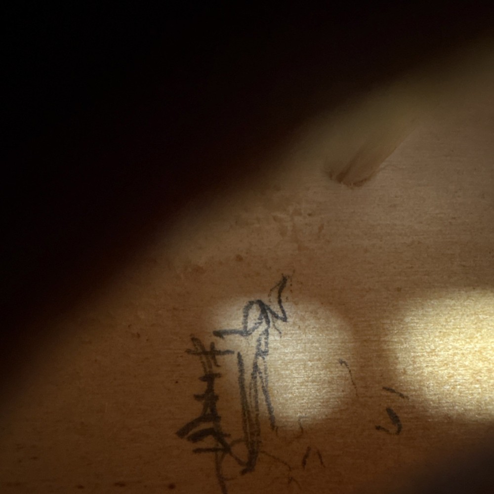 Functional Unmarked Full Size Violin W/ Chin rest