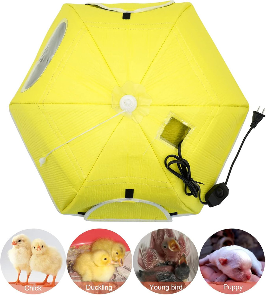 Large Chick Brooder Heating Plate Chick Brooder Box 21.6" Heat up to 50 Chicks,