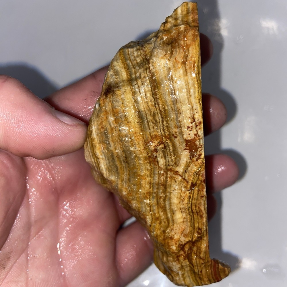 Natural Red Onyx Rough Lapidary Stone 7.59 Oz