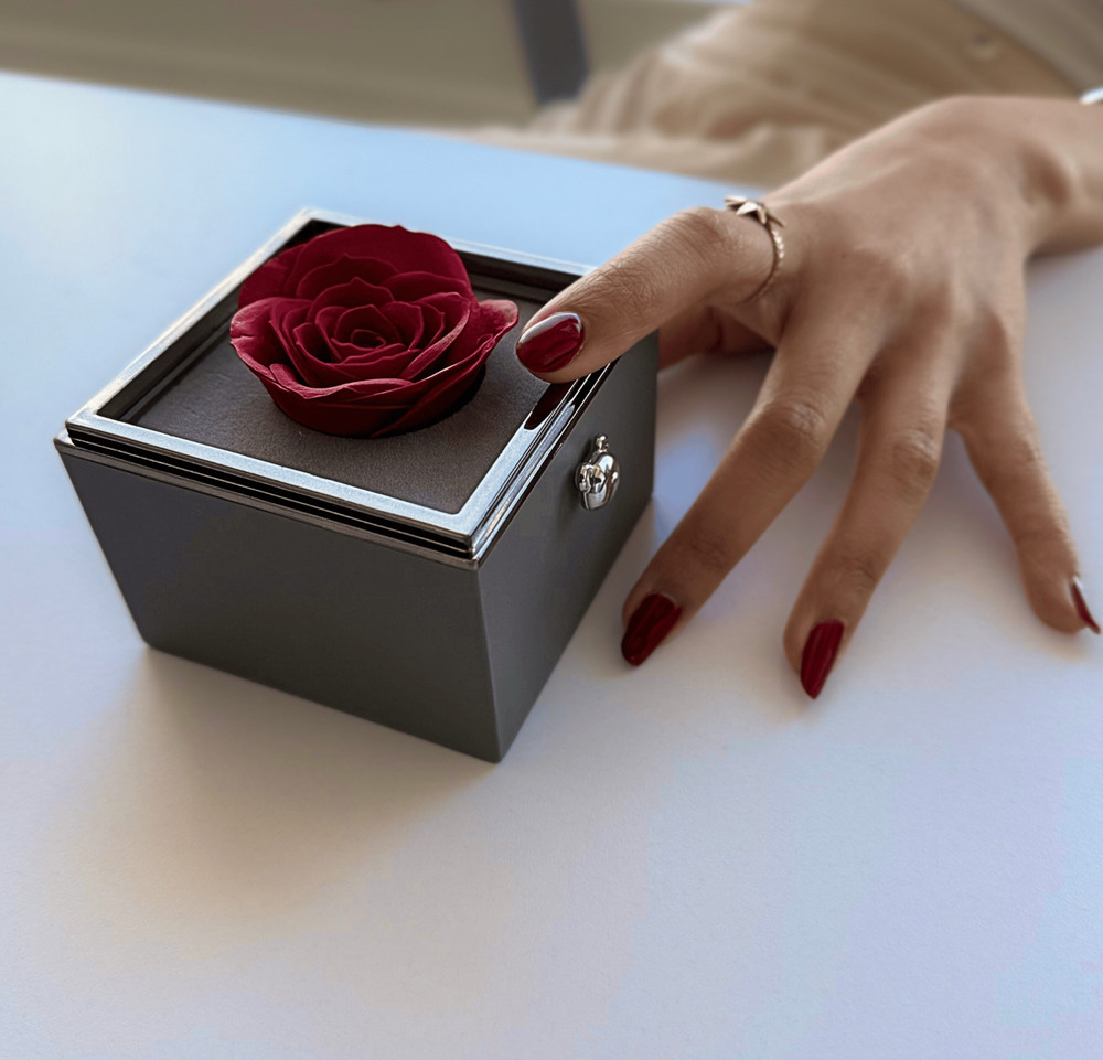 Amore Box - Red Rose Jewelry Gift Box with Teddy Bear Button - 6 Pack Bundle