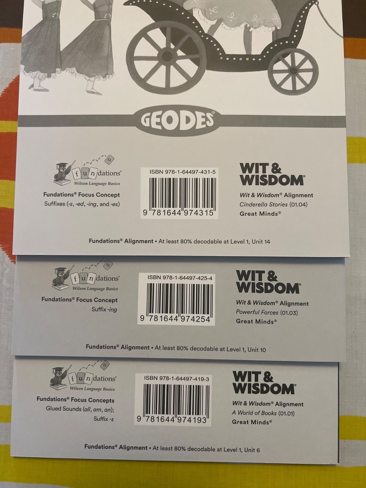 Geodes Wilson Fundations book. Level 1 variety