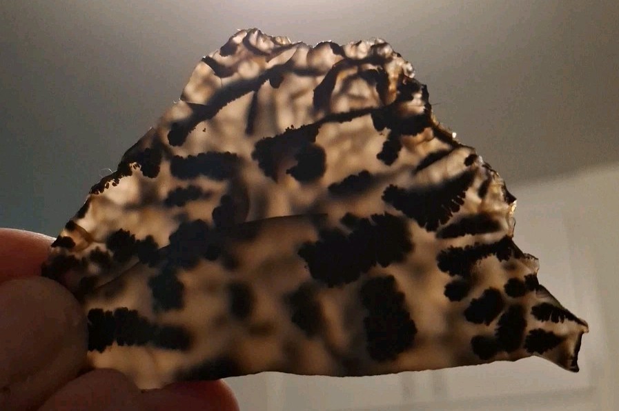 Moss Agate Slab Natural