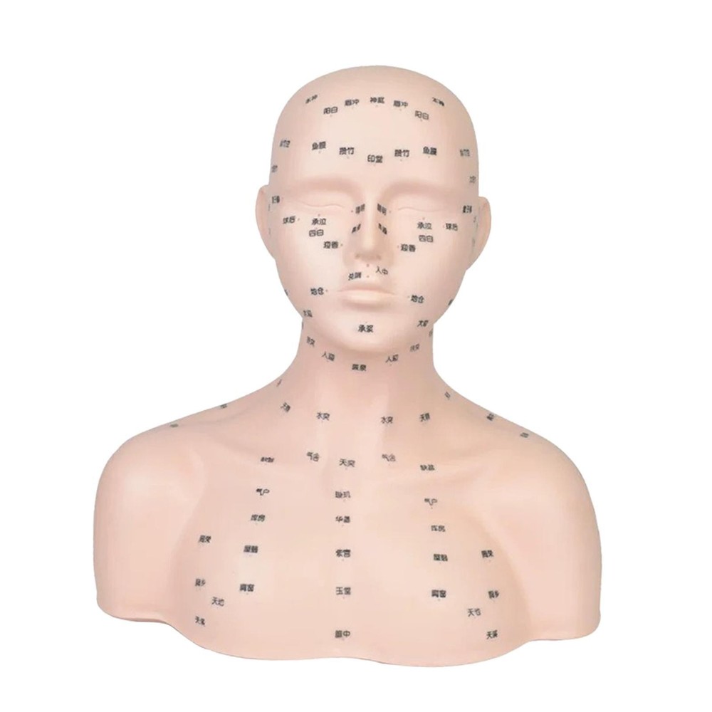 Mannequin Head Versatile Practice Training Head Model for Beauty SPA Salon