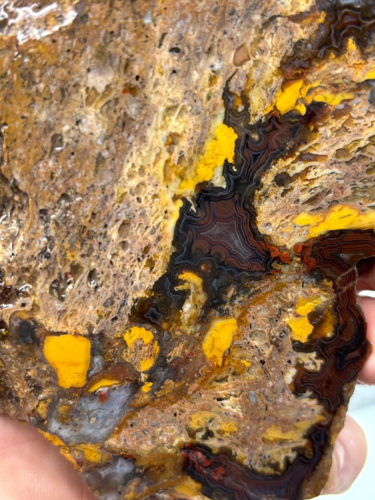 Turkish Agate Slab Cabbing Lapidary Collecting Combo Ship Avail