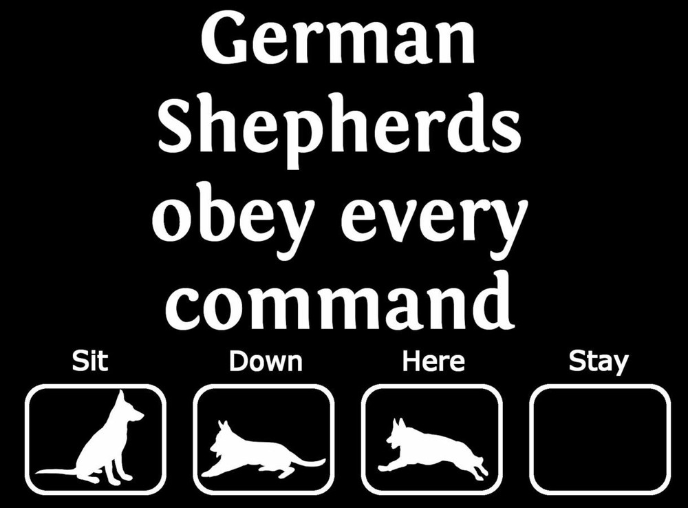 Original "Art on Shirts" German Shepherds obey every command. Every? A GSD skill