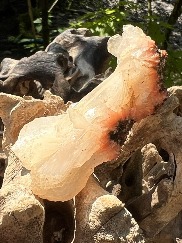 Orange Heulandite Cluster Bed Bright Colouring AAA+ Stillbite 22