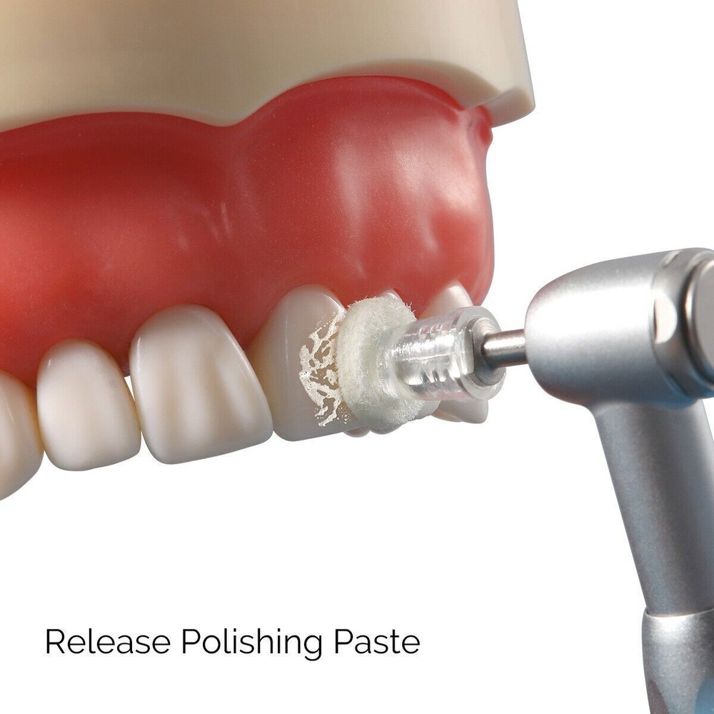 Kit de Discos de Pulido de Pasta de Composite Dental 50Pcs Discos Desechables