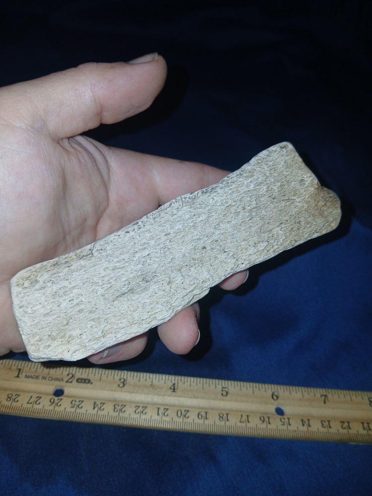 9 oz Texas Petrified Wood