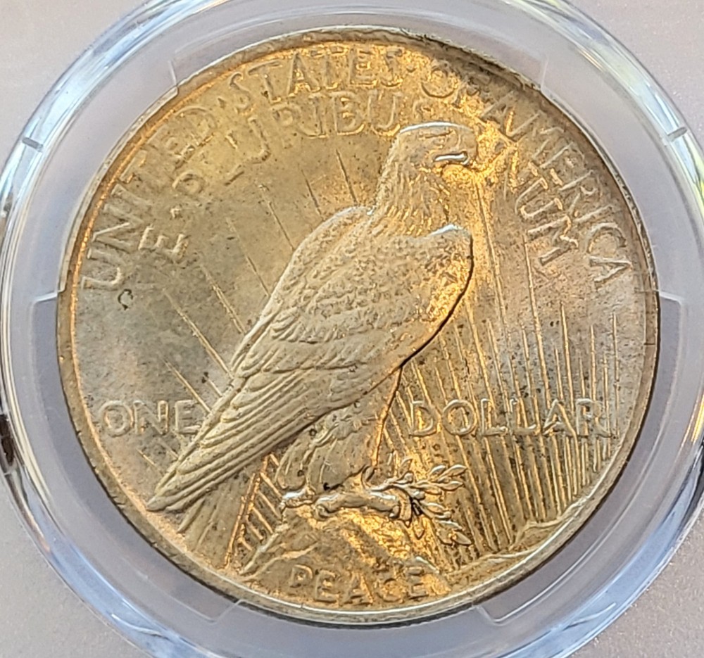 1924-P PCGS MS-64 slight even toning Peace Silver Dollar #341