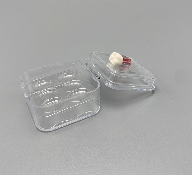 10× Display Chip Veneers Jewelry Box Membrane Retainer Denture False Teeth Case