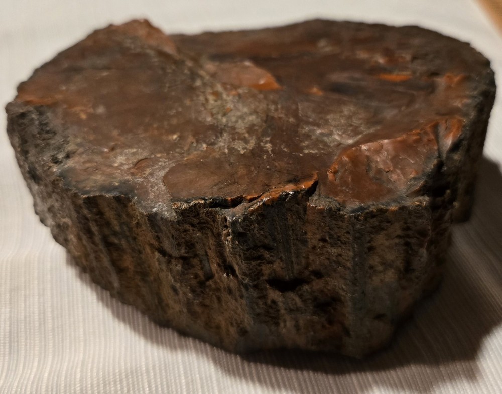 Red Petrified Wood