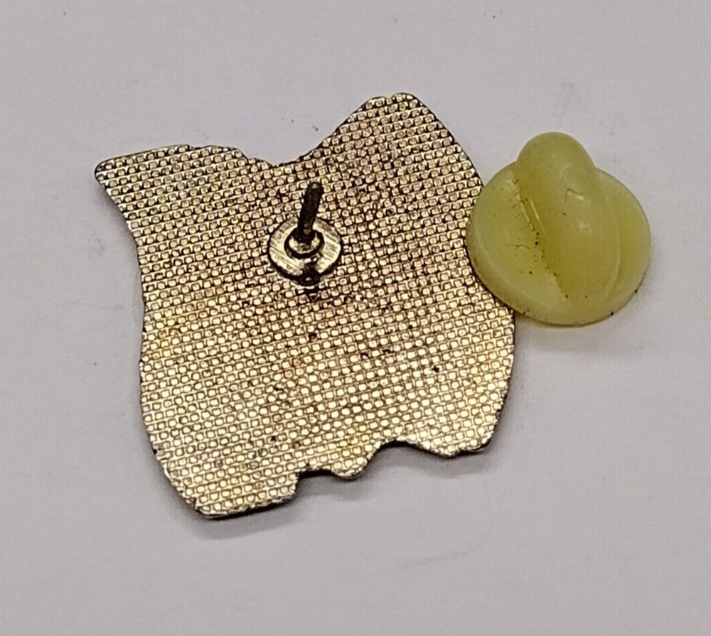 Rollin' On The River Laughlin Nevada Lapel Pin