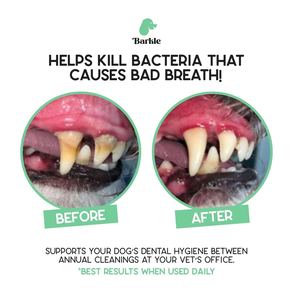 Vet Approved Dog Teeth Cleaning Toothpaste & Tooth Brushing Kit | Eliminate P...