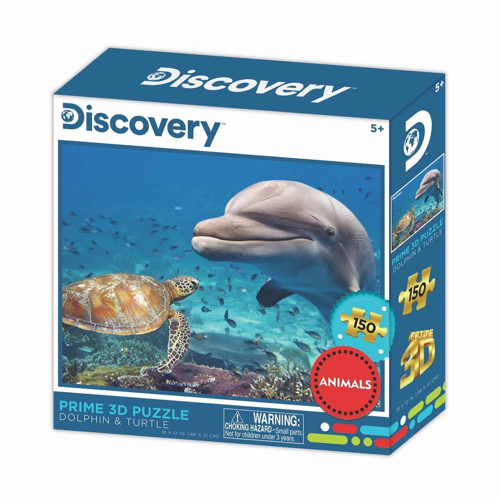 Dolphin & Turtle - Discovery