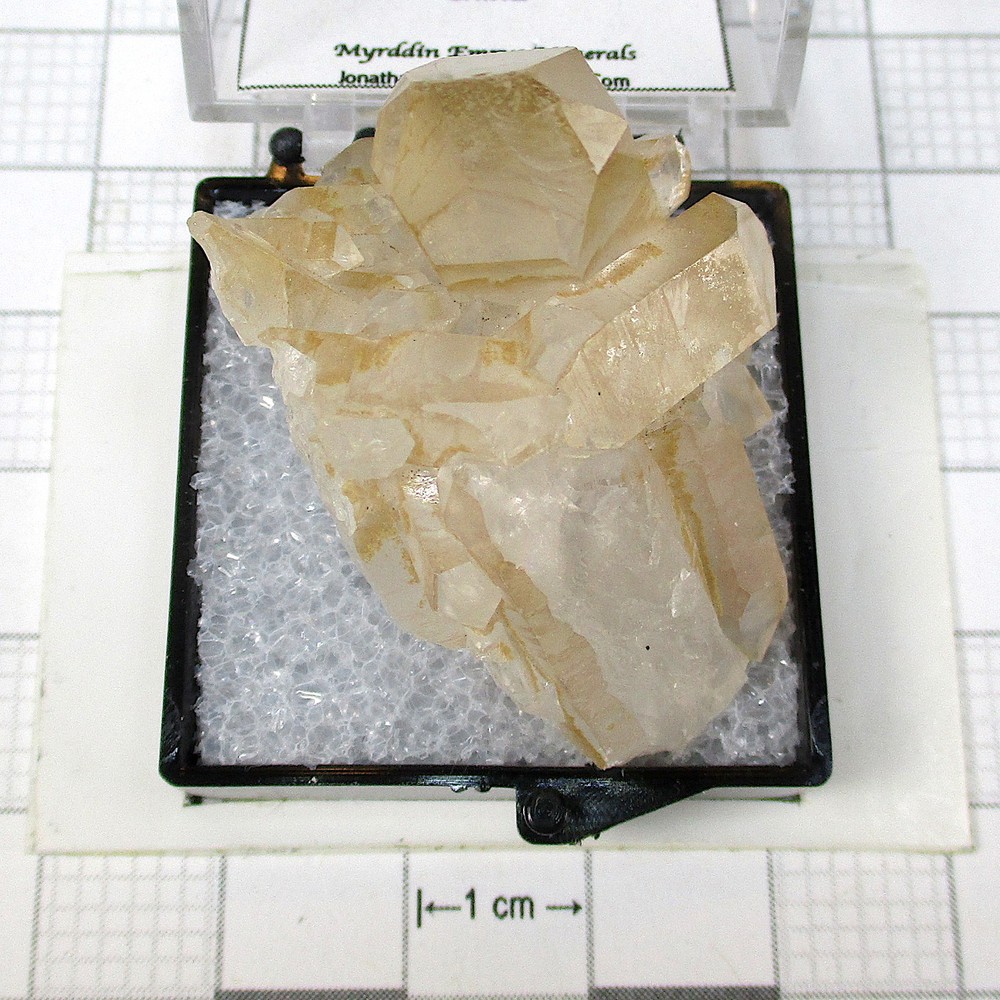 09099 TN Quartz China  693