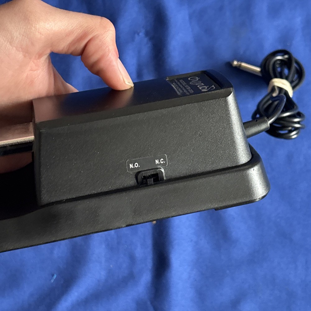 Cherub Sustain Pedal Model WTB-005
