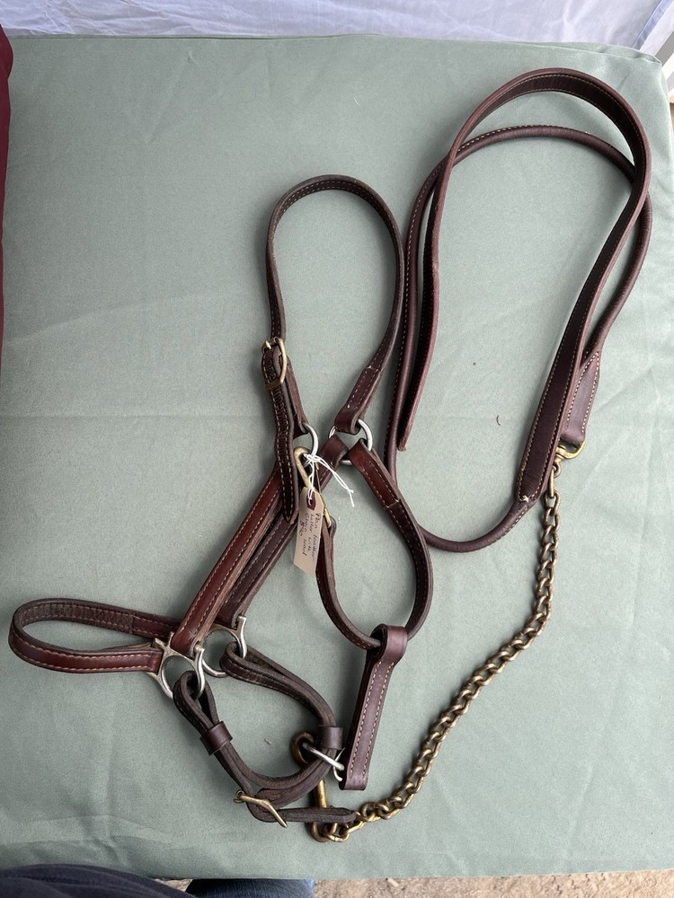 Supple Leather Halter With Chain Lead
