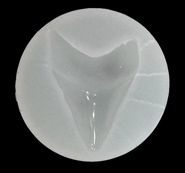 3" Authentic Shark Tooth Silicone Mold For Resin