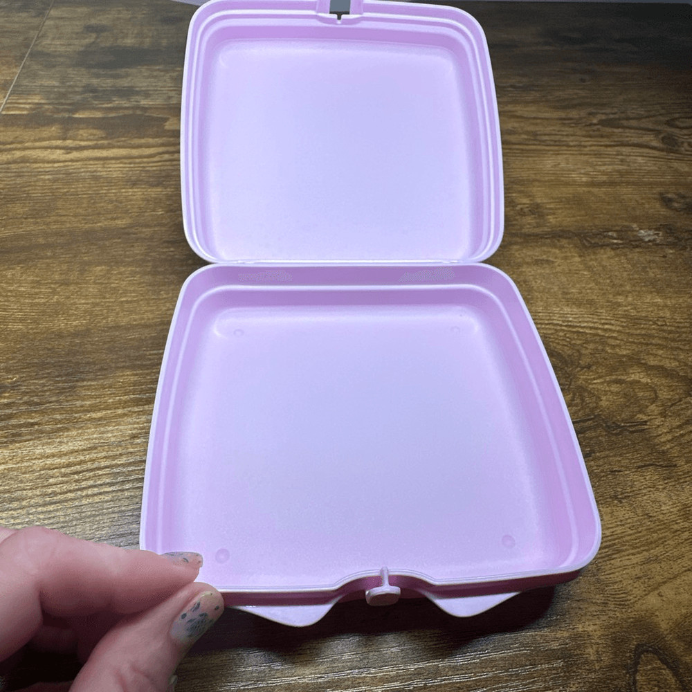Vera Bradley Sandwich Keeper Pink Cloud Hinged Tupperware