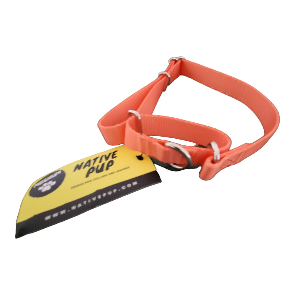Martingale Dog Training Size Medium Orange Nylon Adjustable 13"- 21" By Native