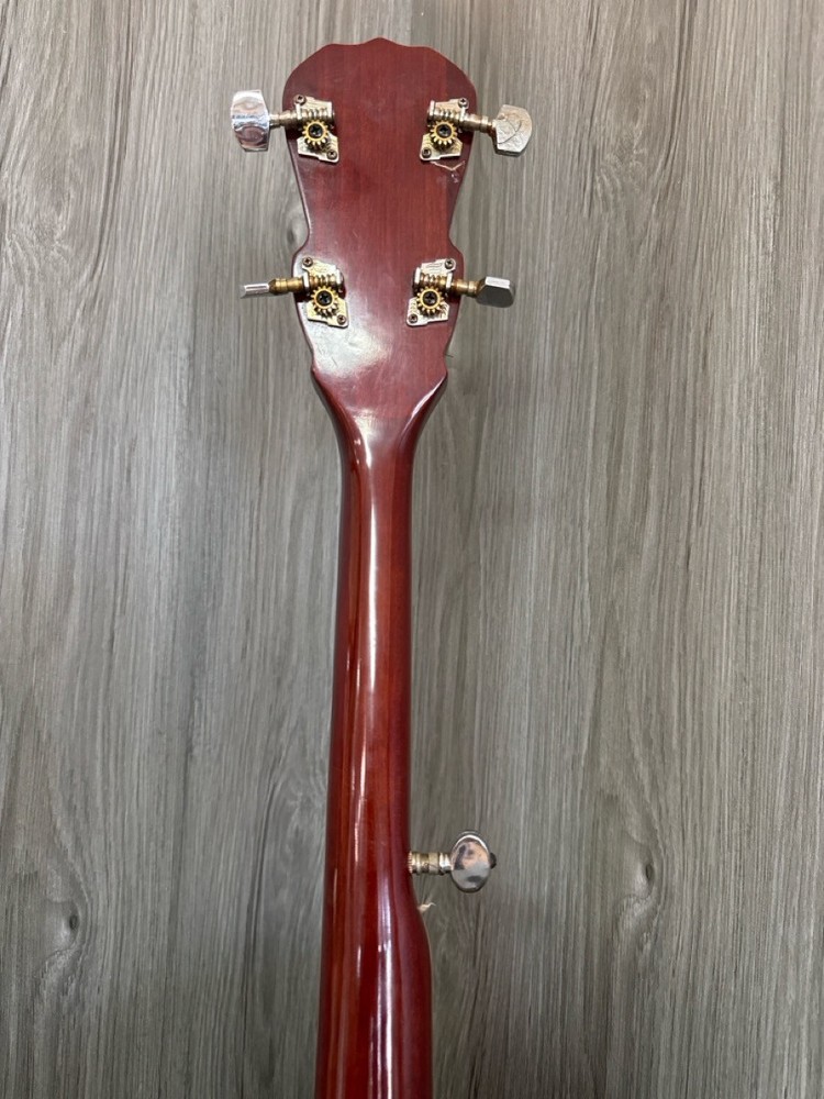 PALMER GUITAR 5-STRING BANJO (PSO039330)