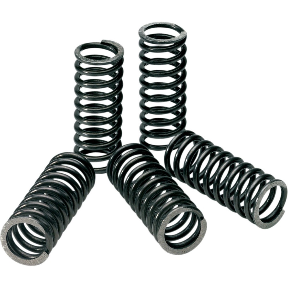 Pro Circuit Clutch Springs (CSK19450-CS)