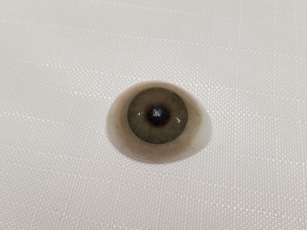 Vintage Prothestic Eye
