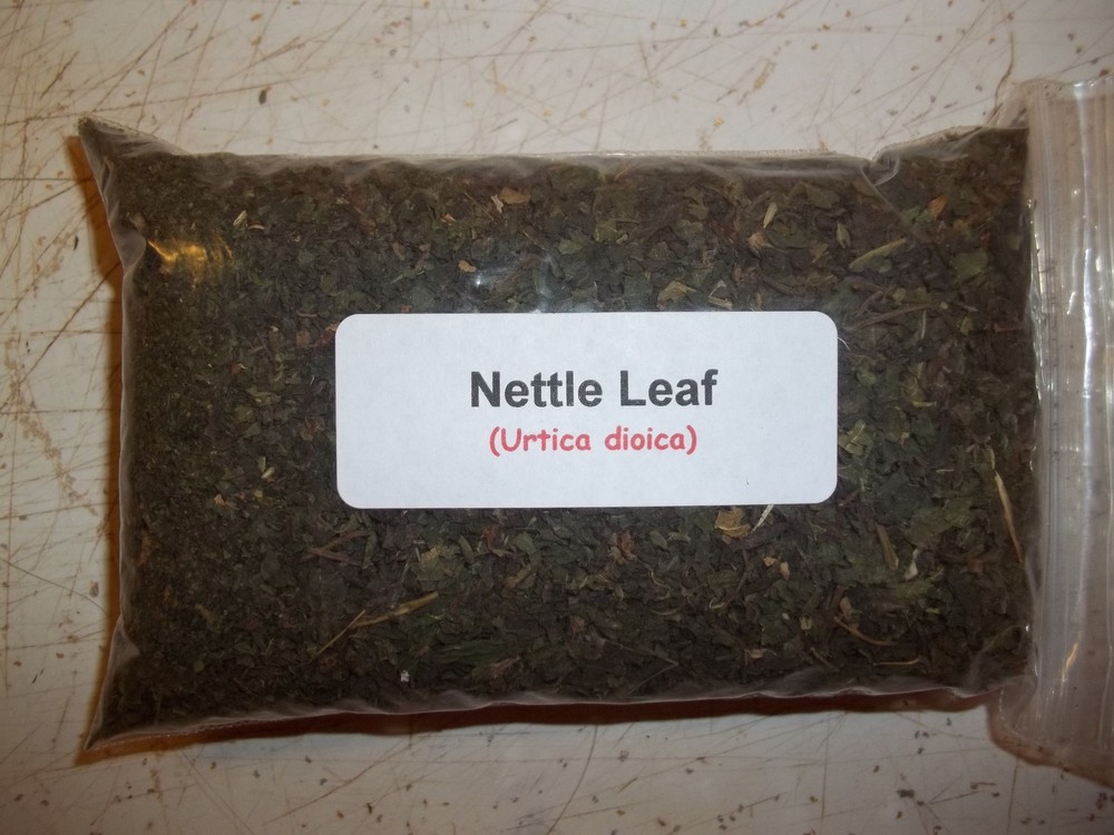 1 oz. Nettle Leaf (Urtica dioica)