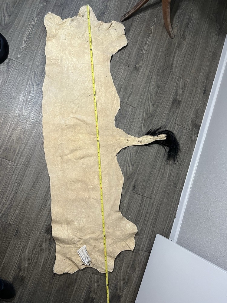 African Gemsbuck Antelope 1/2 Hide Long