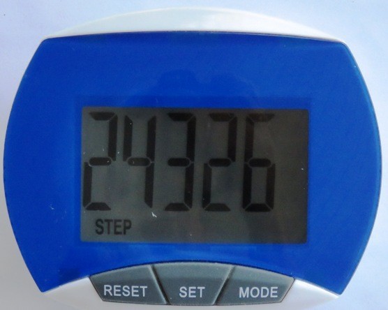 Weewooday 12 Pcs Pedometer for Walking Steps and Miles