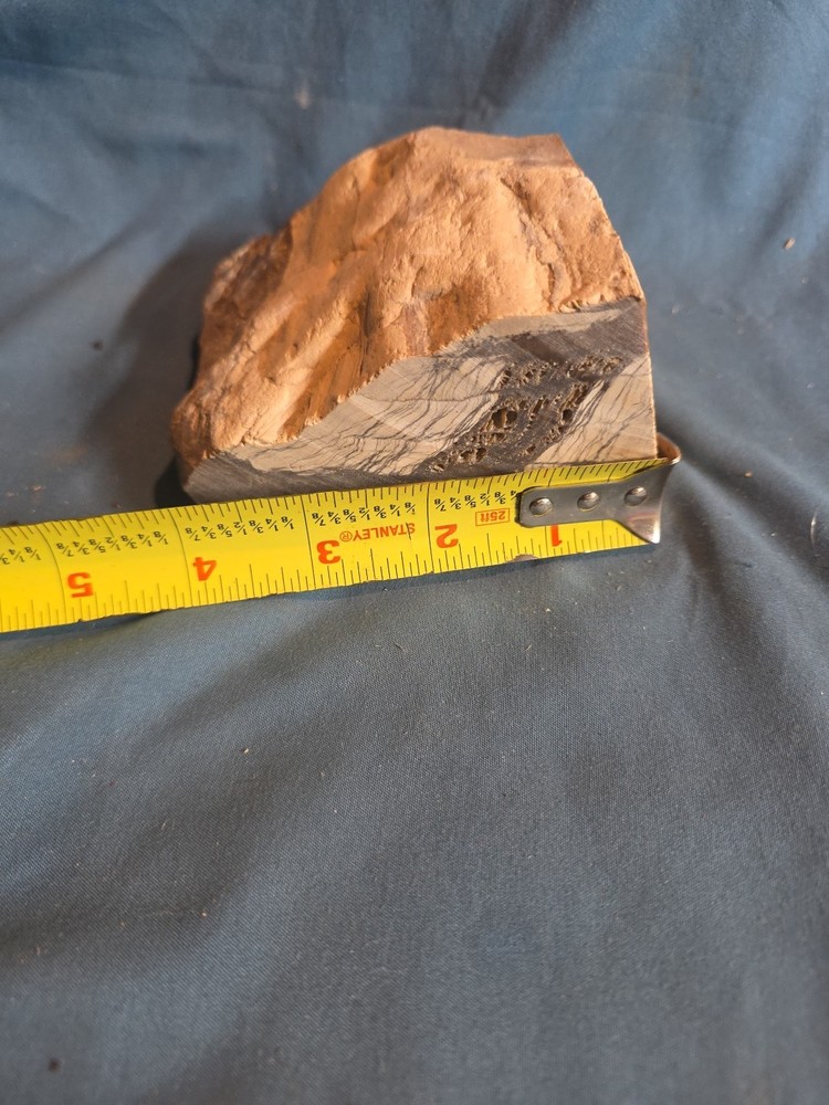 Petrified Wood Rough Approx 4x4 950 Grams