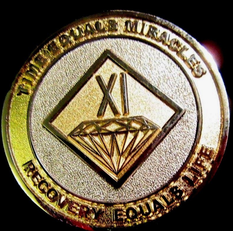 Narcotics Anonymous NA GOLD SILVER 11 Year Medallion Chip Coin Token