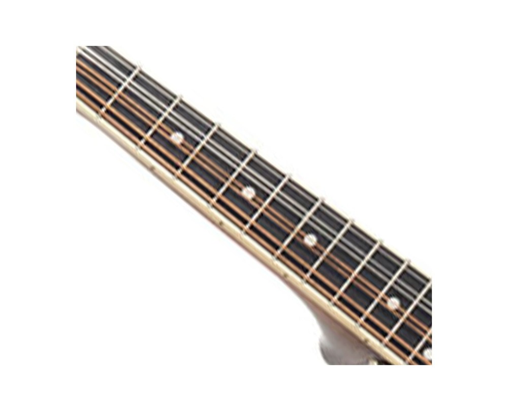 Gold Tone GM-50+ Intermediate A-Style Mandolin - Open Box