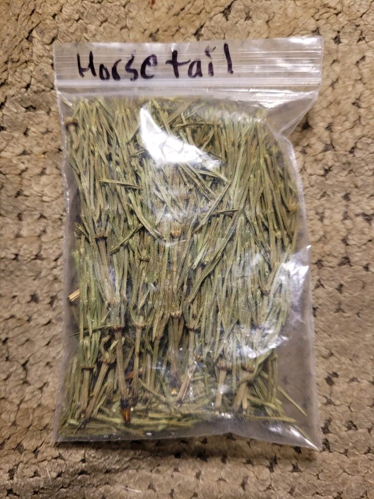 Horsetail Magick Medicinal